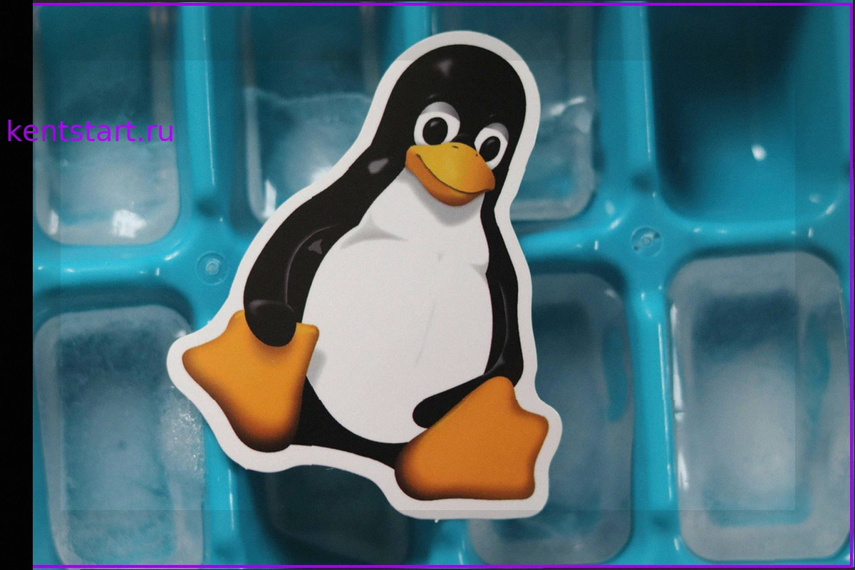 Год Linux: Действительно ли это происходит?