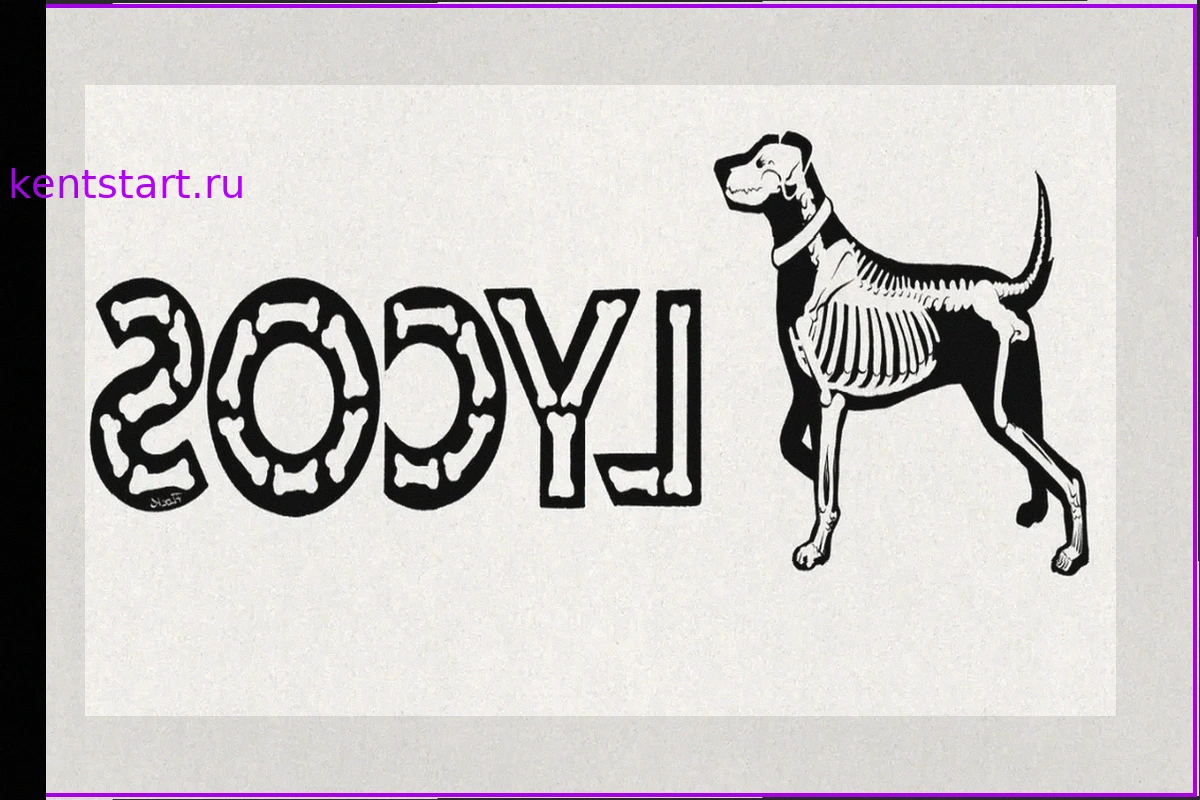 Lycos.fr вернулся: домен куплен за 35 300 €, проект запускает новый портал