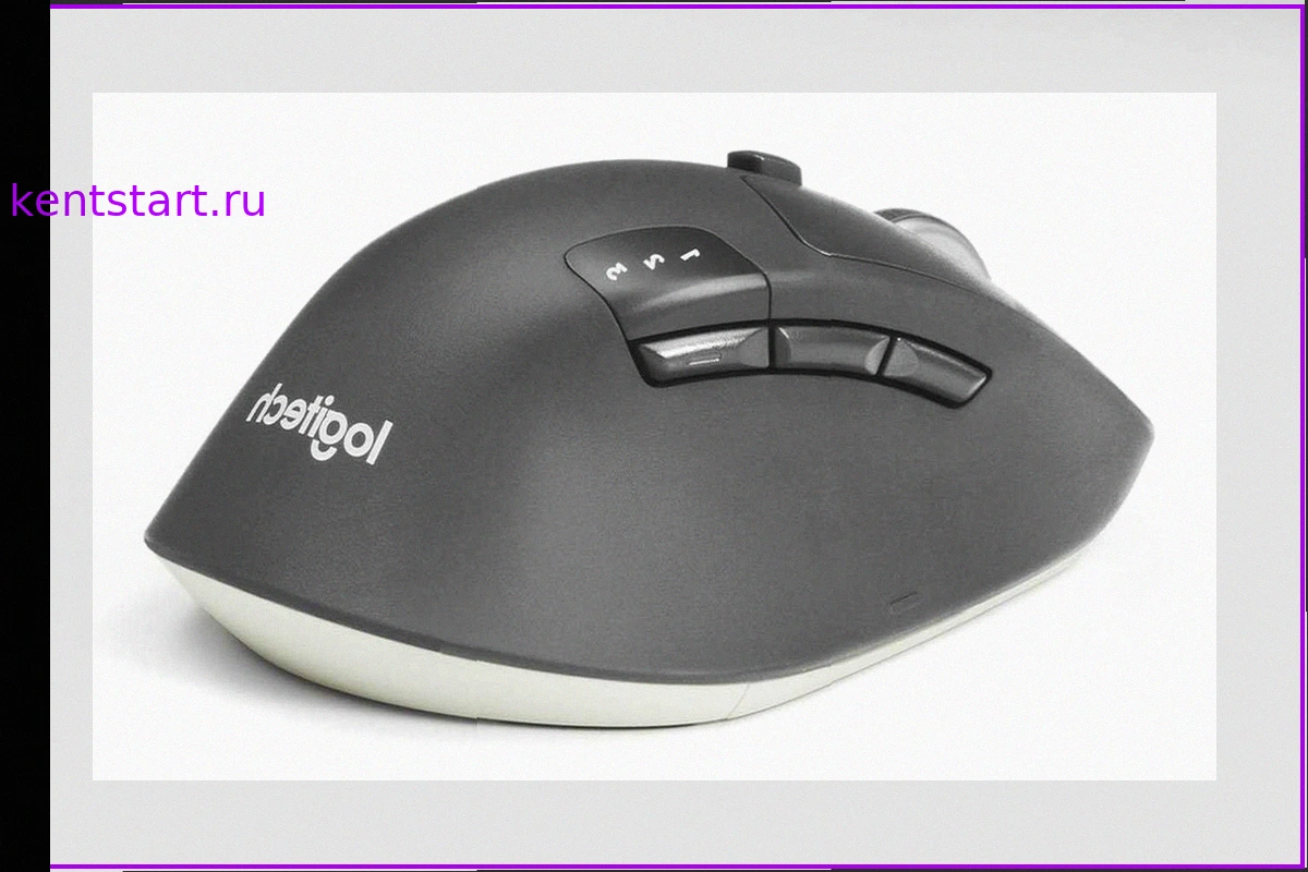 Моя любимая дорожная мышь Logitech: комфорт и функциональность по выгодной цене